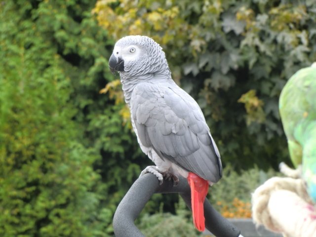 2011-09-04 Wantijpark